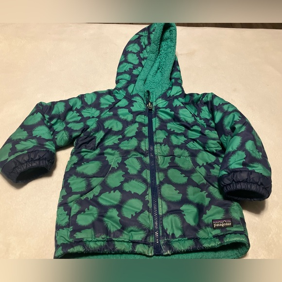 Patagonia Hedgehog Print Jacket in Green and Blue